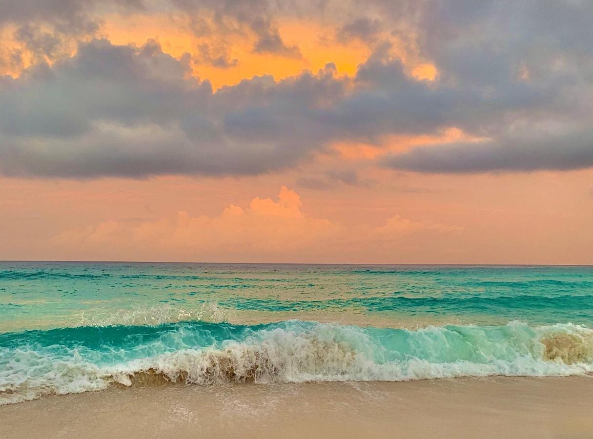 Preciosos Estudio Vista al Mar o jardín Cancún Exterior foto